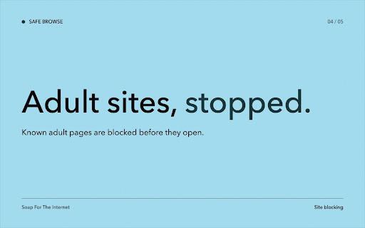 Safe Browse – Profanity & NSFW Filter :: Soap For The Internet. Blocks profanity, explicit images, adult sites, and unsafe search while you browse.