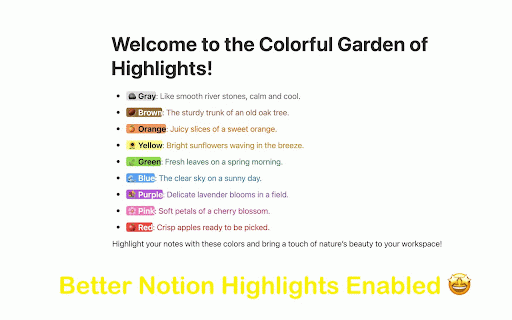 Rainbow Bear :: Make Notion highlights vivid, readable, and color‑blind friendly. Custom colors, optional animations, and gentle patterns.
