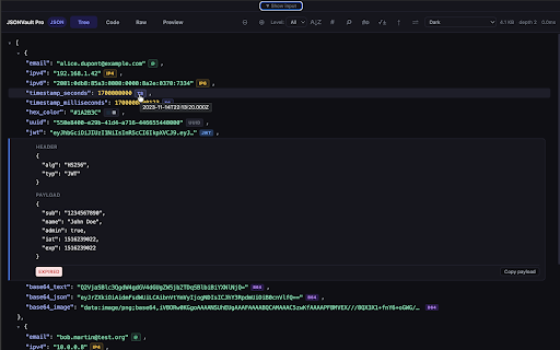 JSONVault Pro :: JSON viewer & formatter with JWT decode, diff, JSONPath. Formats JSON, YAML, XML instantly. Zero tracking. Privacy-first.
