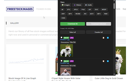 Media Finder :: Finds all media files on the page and shows them in a list with filtering options