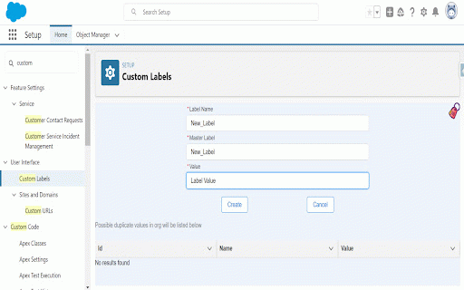 Salesforce Custom Label Manager :: View Duplicate Custom Labels and Create
