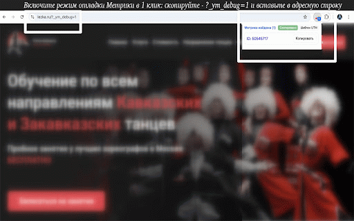 Яндекс.Метрика Detector :: Показывает, есть ли Яндекс.Метрика на текущей странице.