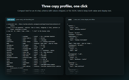 NetSuite Record Explorer :: Copy an entire NetSuite record in one click: every field ID, label, type, and value, including fields not visible on the form.