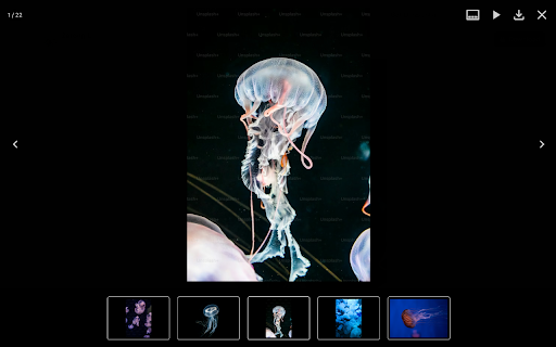 Image Viewer – Fullscreen Preview, Zoom, Download & AI Detection :: Image viewer to preview any image in fullscreen with zoom, download, EXIF metadata and AI-generated image detection.
