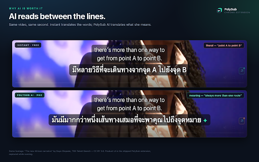 PolySub — AI Video Subtitle Translator :: Dual subtitles with Instant and managed AI translation, free themes, transcripts, and live transcription.