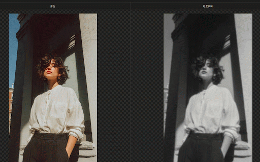Value Viewer - Grayscale Image Inspector :: Inspect image values with grayscale, squint blur, value steps, comparisons, and a temporary reference tray.
