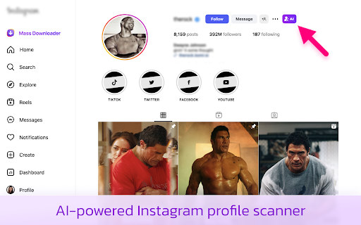Mass Downloader for Instagram :: Mass Download all Instagram Reels, Stories, Photos, Videos & Highlights. Backup entire Instagram profile. AI-powered analysis