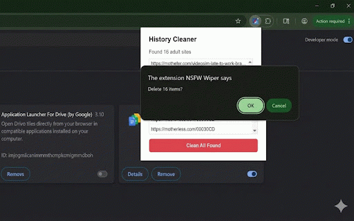 NSFW Wiper :: Automatically scans and wipes adult websites from your browsing history with a single click.