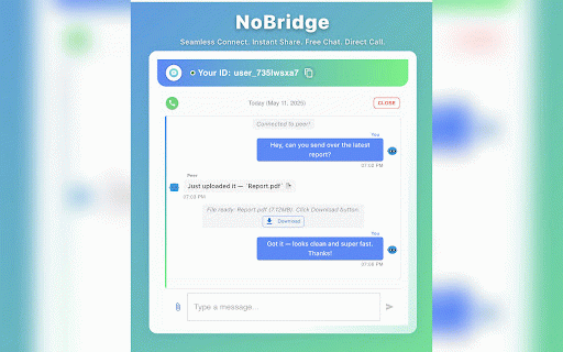NoBridge – Private Chat, Calls & Screen Sharing :: Peer-to-peer browser extension for private chat, audio calls, screen sharing, and file transfers — no logins or installs.
