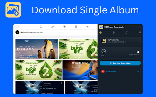 FB Photos Downloader :: One-click Facebook photo downloader for albums, profiles & groups. Fast, private, and easy to use. Save images instantly.