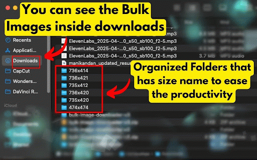 Bulk Image Downloader :: Count, preview, and bulk‑download images grouped by size.