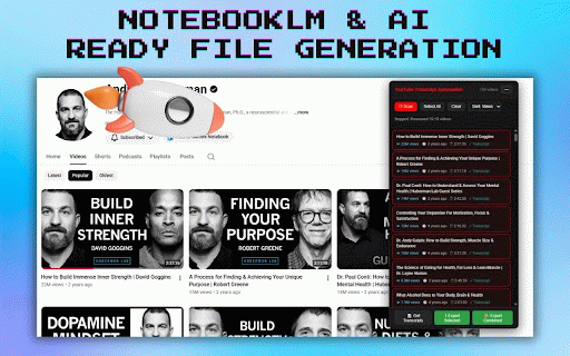 YouTube Transcript Automation :: Scan, sort, export YouTube video metadata and transcripts.