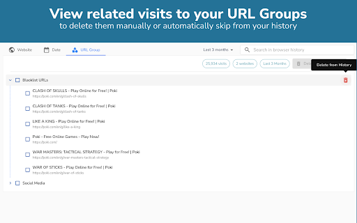 Advanced Browser History :: View history as a tree, skip URLs from history, bulk-delete visits, search by URL or title, filter by domain or day, and group sites
