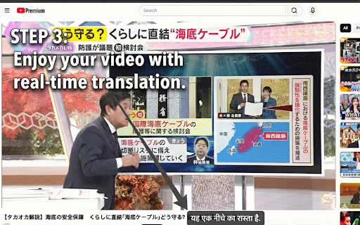 StreamLingo AI - Real-Time Video Translator :: AI-powered real-time translation for videos and audio across major websites.