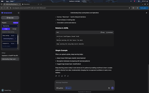 DeepSeek Chats Organizer :: Group DeepSeek chats into local projects.
