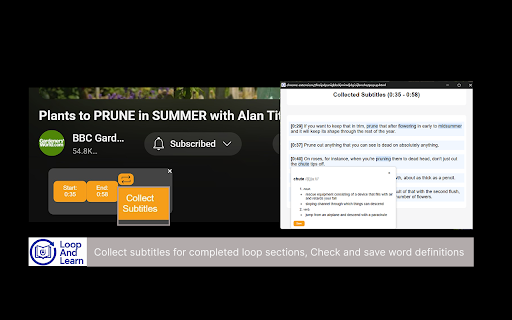 Loop and Learn for YouTube :: custommize loop sections of a YouTube video and learn based on it.