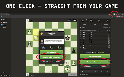 Chess Review :: Free, open source game review. Produces accuracy scores within ~95% of Chess.com's.