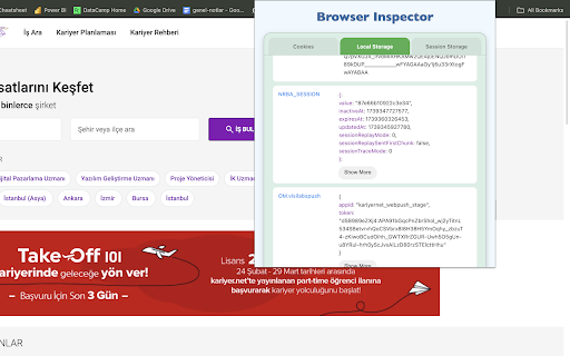 Browser Inspector :: View cookies, session storage, and local storage for the current website