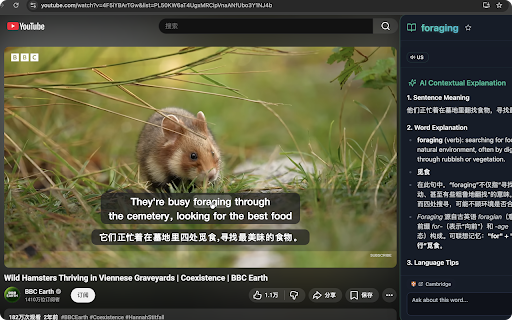 DeepAcquire - YouTube Bilingual Subtitles AI Translator :: Learn languages by watching videos: AI‑translated YouTube bilingual subtitles. Use built‑in model, or your own AI model for free.