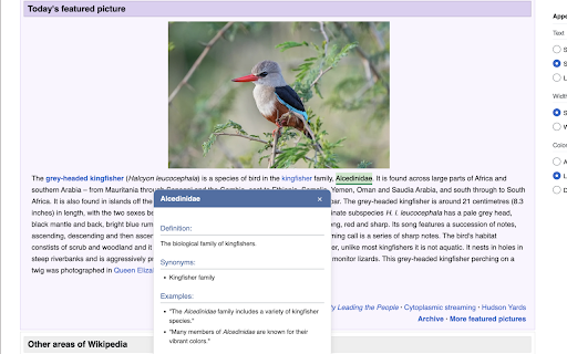 ExplainIt - AI Text Explainer :: Highlight any text on web pages to get instant AI-powered explanations and definitions using your free Google Gemini API key.