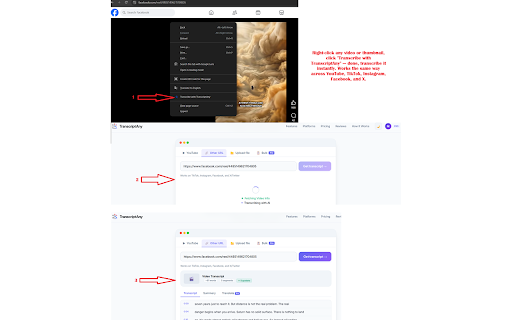 TranscriptAny - Video Transcript Generator :: Get an instant transcript of any YouTube, TikTok, Instagram, Facebook, or X video with one click.