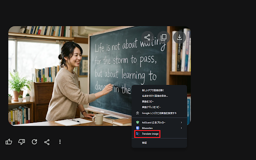 SelectionTranslator :: A tool that translates selected text and image!