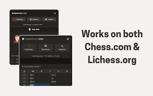 Speechess :: Speech to Chess • Play chess with your voice