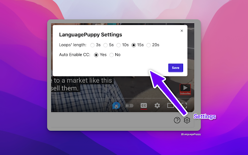 LanguagePuppy - YouTube Notes & Speaking :: LanguagePuppy helps you turn YouTube into a powerful language class. Take notes, practice shadowing, and boost your skills.