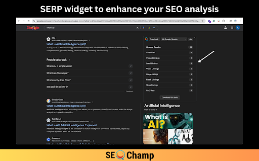 SEO Champ :: Perform SEO audits including On-Page SEO, Broken Link analysis, Page Speed analysis, Server Response check, and SERP analysis.