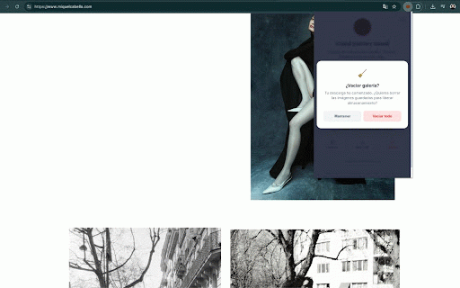 Visual Journey Mood - Save Images Pro :: Organiza y guarda referencias visuales de cualquier web. Crea tu biblioteca local de inspiración con un solo click.