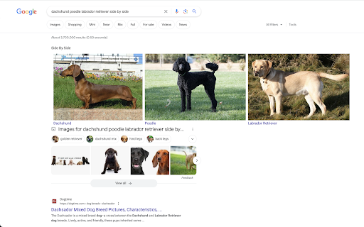 Side By Side :: Search for items "side by side" to directly compare celebrity lookalikes, city skylines or dog breeds--the options are endless.
