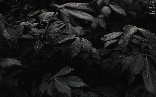 TablissNG :: A beautiful, customizable New Tab page with backgrounds and widgets. This is a maintained fork with ongoing updates in the future.