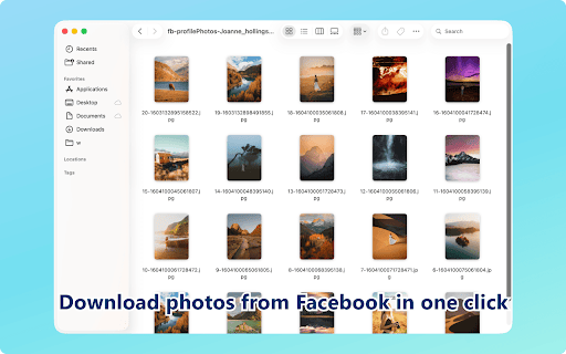 Photo & Album Downloader - FB Photo Backup Tool :: Back up Facebook photos and albums from profiles, Pages, and groups. Bulk download original-quality images for easy offline access.