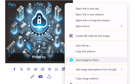 FileLu Cloud Storage File Uploader :: Upload files, URLs upload, screenshots, save selected text, save image, create quick notes directly to FileLu from your browser.