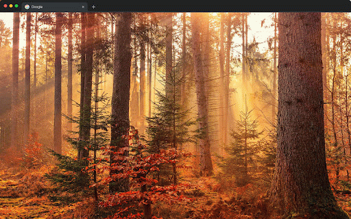Autumn Wallpapers New Tab - Fall Season Backgrounds :: Autumn wallpapers for new tab. Fall foliage, cozy season & nature backgrounds