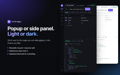 HTTP Client :: Fast, lightweight HTTP & WebSocket client for developers — requests, collections, environments and scripts.