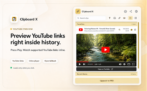 Clipboard X (Auto Save Clipboard History) :: Keep recent text, links, and images you copy in Chrome, stored locally on this device.