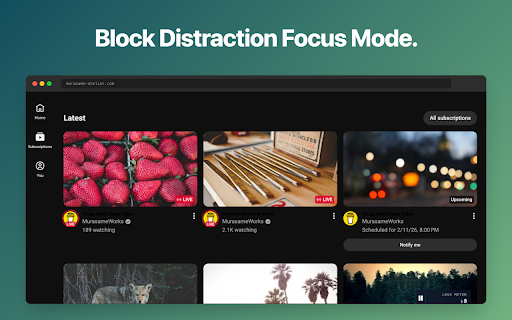 YouTube Hourly Wage Waste Meter & Distraction Blocker :: Track YouTube watch time as financial loss based on your hourly rate. Block distractions and reclaim your time with Focus Mode.
