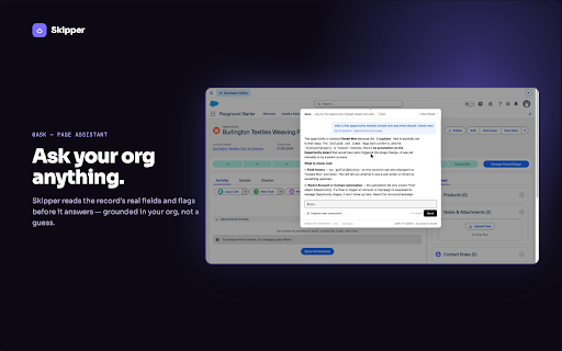 Skipper for Salesforce :: Grounding and guardrails for AI in Salesforce.