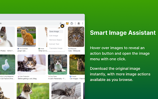 MeowLoad - Video/Live/Audio/Image Downloader :: Download videos, audio, images, and livestreams from major sites effortlessly. Quick access with a clean, simple workflow.