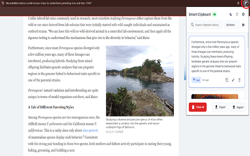 Smart Clipboard Manager :: A smart clipboard manager that helps you organize and access your clipboard history.