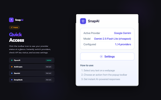 SnapAI :: Select text on any webpage and instantly get AI-powered explanations, summaries, translations, and more.