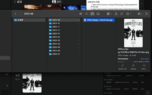 新浪微博相册原图批量下载器 :: 抓取新浪微博相册图片原图链接并批量下载。