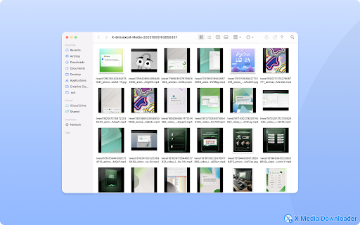 X Media Downloader – Download Twitter/X Images & Videos :: Batch download images, videos & GIFs from X/Twitter profiles or tweets. 1-click media saver for creators & archivers. Fast & easy!