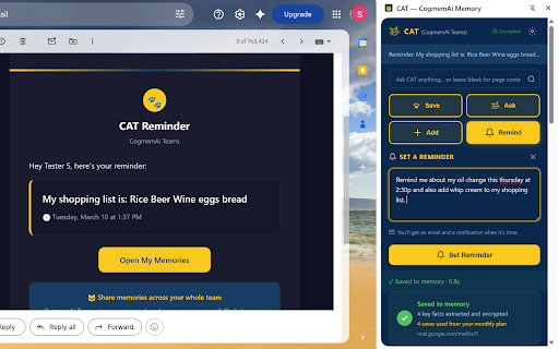 CAT — CogmemAi Memory :: Save and recall knowledge from any webpage or email. One click to remember, one click to recall.