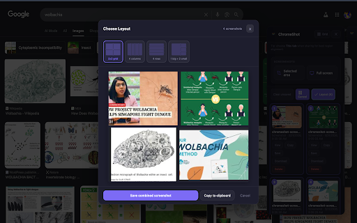 Snapiq :: Fast & simple screenshot & capture tool. Save directly to extension storage.