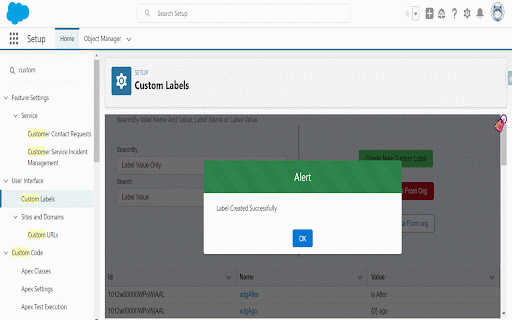 Salesforce Custom Label Manager :: View Duplicate Custom Labels and Create