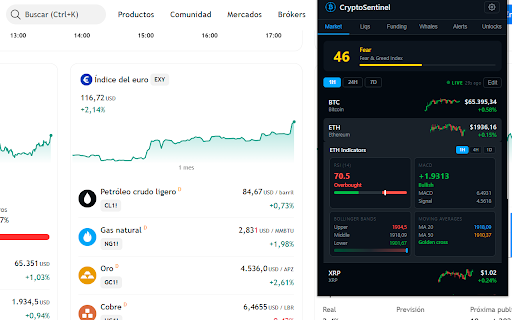 CryptoSentinel :: Crypto alerts & whale tracking hub. Real-time price alerts, on-chain whale movements, Fear & Greed Index — all in one extension.