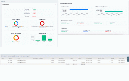 NetSuite Advanced Analytics :: Provides a suite of analytics for NetSuite