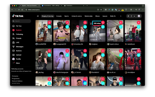 TikTok Toolkit :: TikTok Toolkit is a extension/addon that provides various tools and features to enhance your TikTok experience.